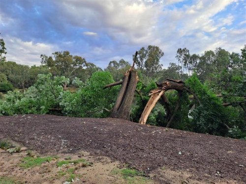 Photo post from alburycity.