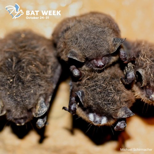 Photo post from filbergheritagelodgeandpark.