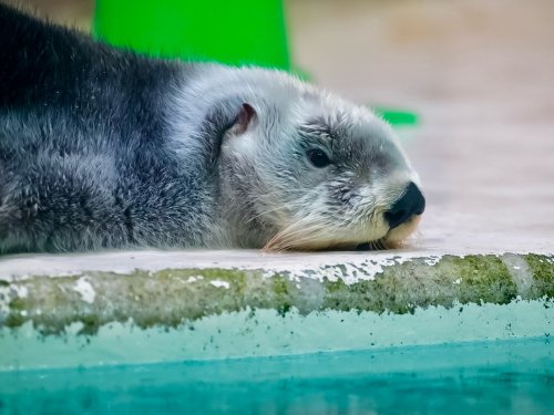 Photo post from 1117n1117mn.