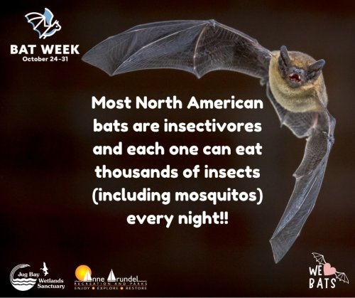 Photo post from jugbayws.