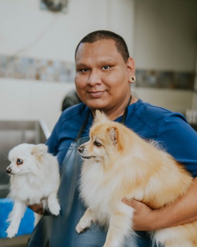 Photo post from medicalpettj.