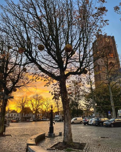 Photo post from visitoirschot.