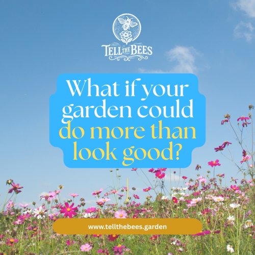 Carousel post from tellthebees.garden.