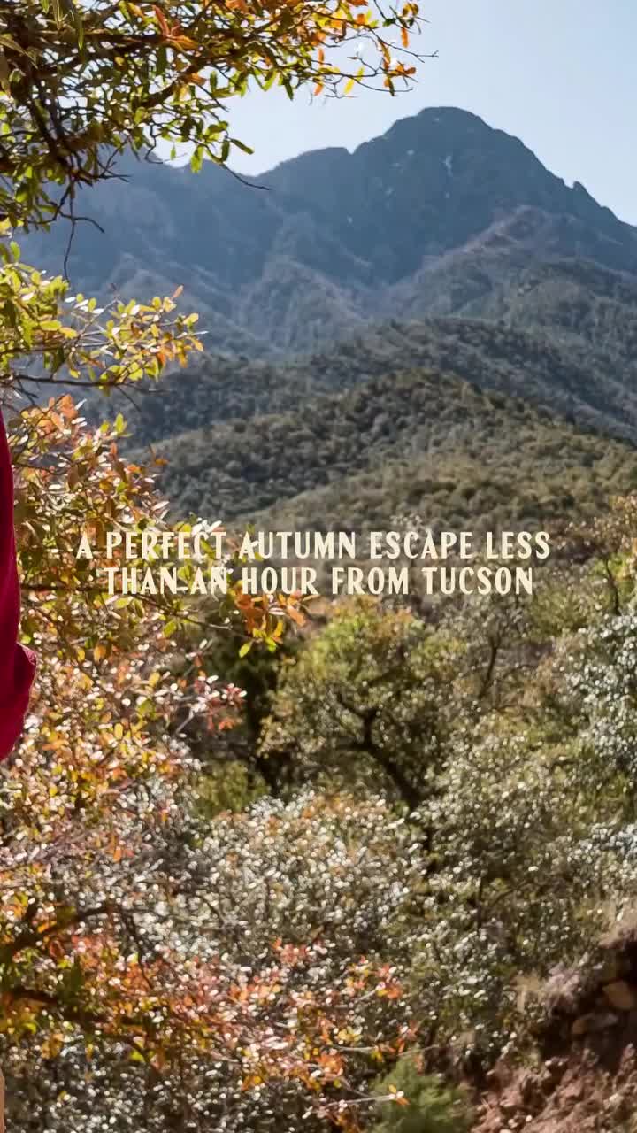 Video post from visittucson.