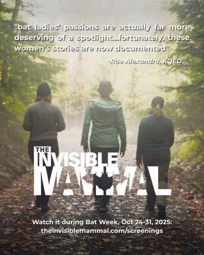 Photo post from ktieche.