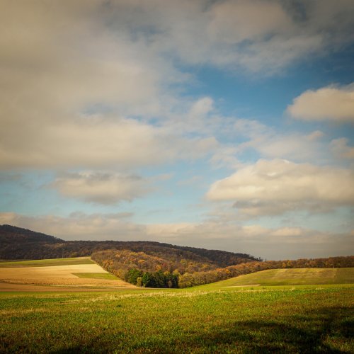 Carousel post from andrewpokora.