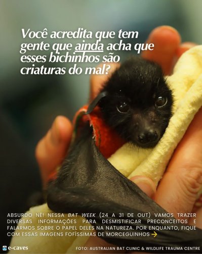 Carousel post from ecavesbrasil.