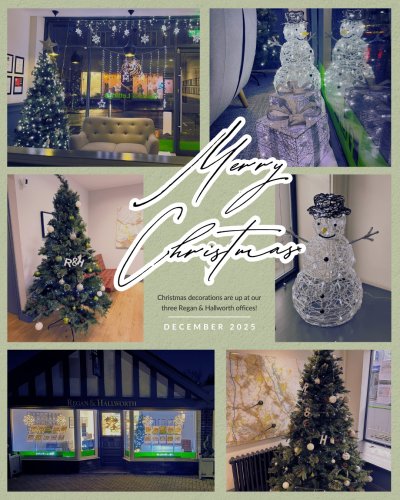 Photo post from reganhallworth.