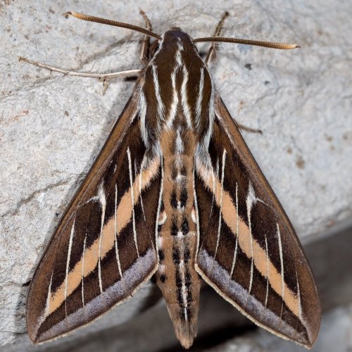 Photo post from kareninnature.