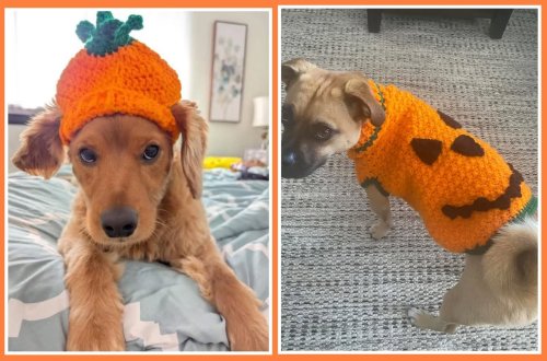 Photo post from niftygiftynorfolk.