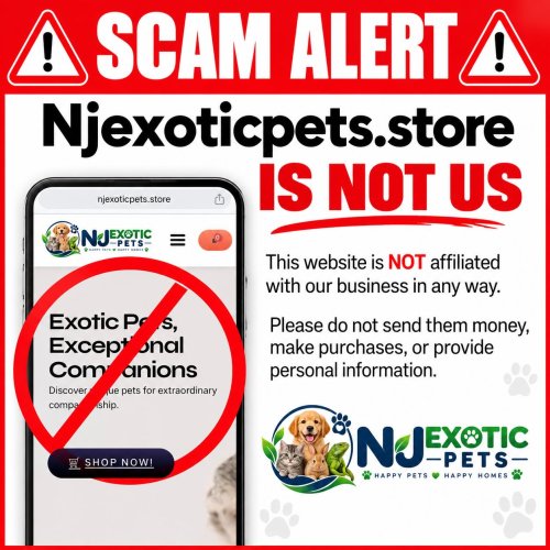 Photo post from njexoticpets.