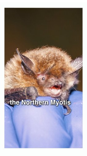 Video post from parks.canada.