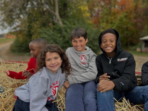 Carousel post from saeslions.