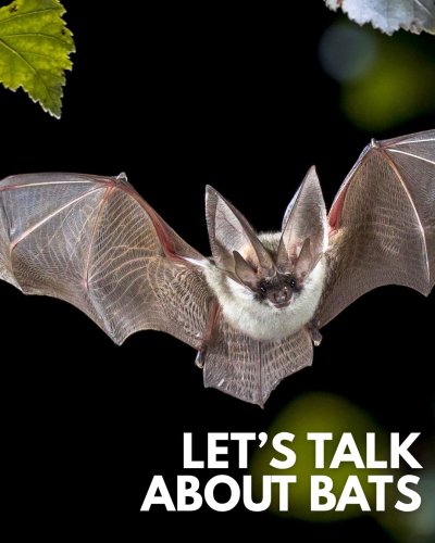 Carousel post from ugawarnell.