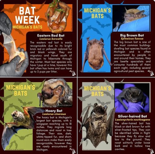 Photo post from novacek1021.