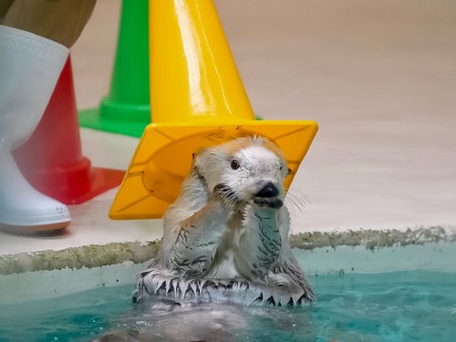 Photo post from 1117n1117mn.