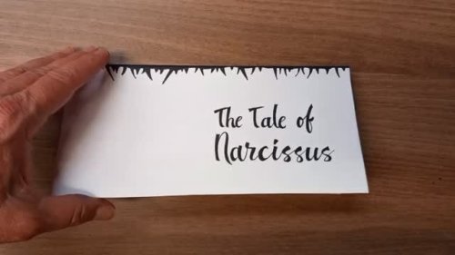 Video post from aur_arts.