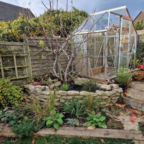 Photo post from kitgrowsagarden.