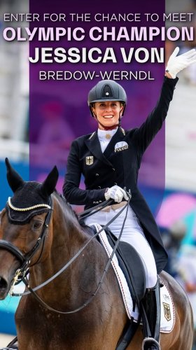 Video post from fei_global.