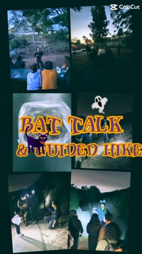 Video post from losandiego.