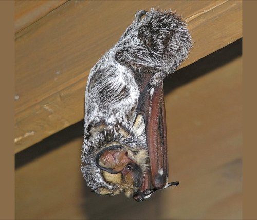 Photo post from sable_institute.