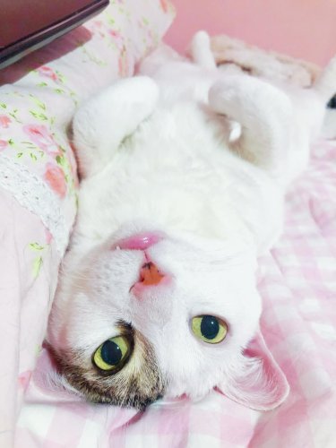 Carousel post from margaritabloom.