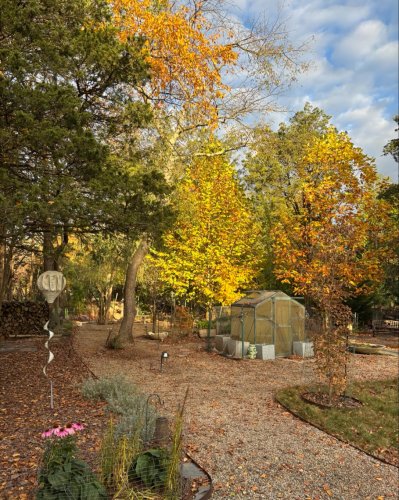 Photo post from mireade2025.