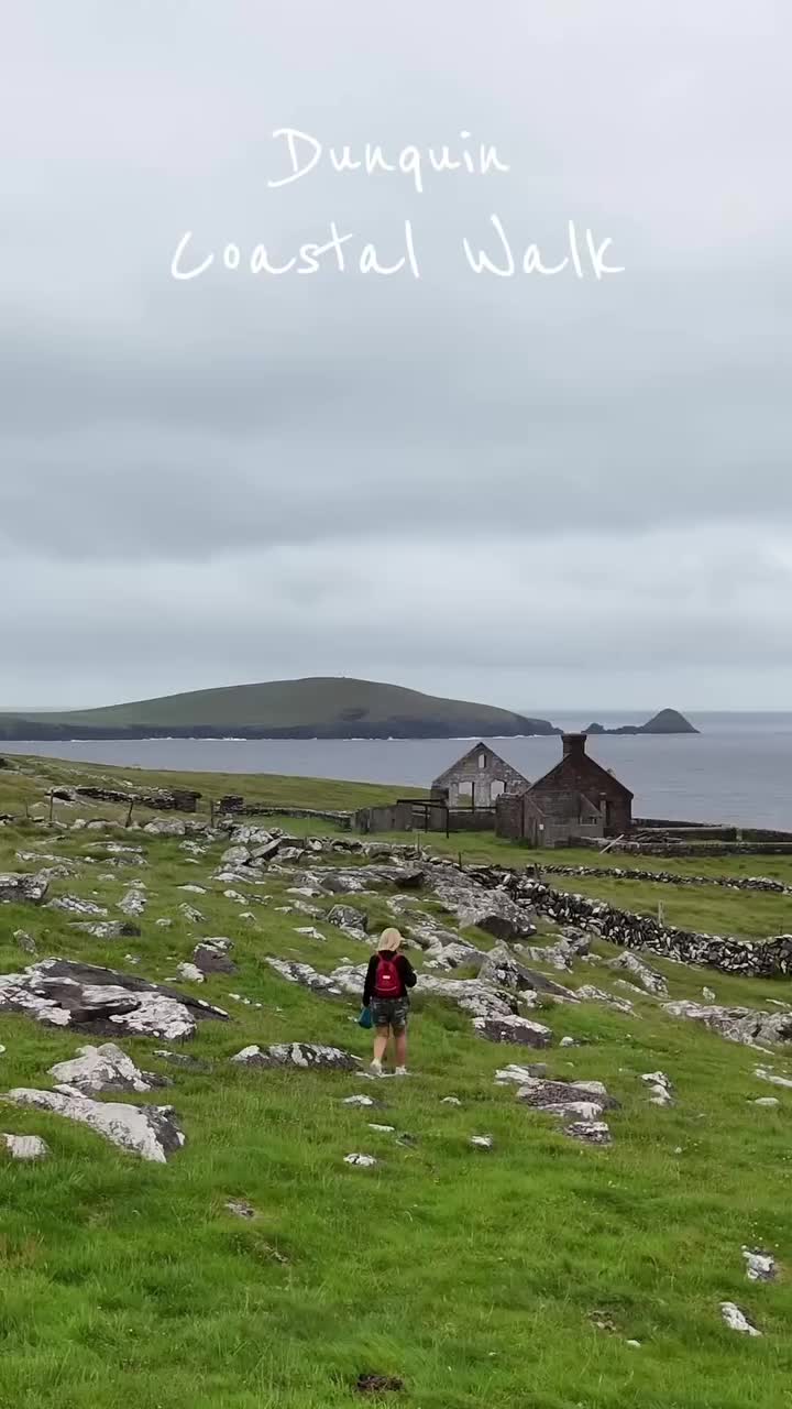Video post from dinglepeninsulatourism.