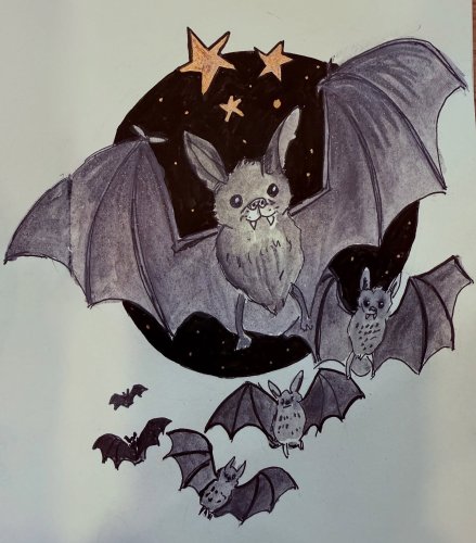 Photo post from koolkookykreatures.