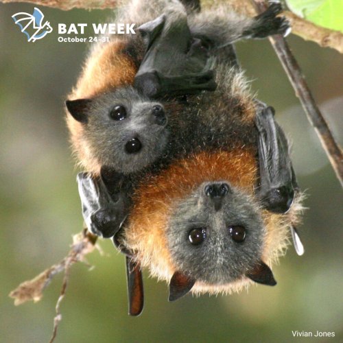 Photo post from americaslands.