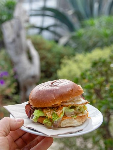 Carousel post from potager_garden.