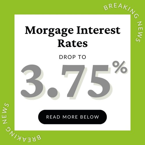 Photo post from reganhallworth.