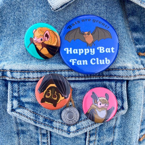 Photo post from feral_pony.