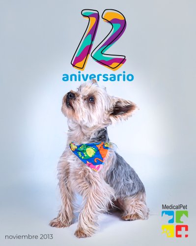 Photo post from medicalpettj.