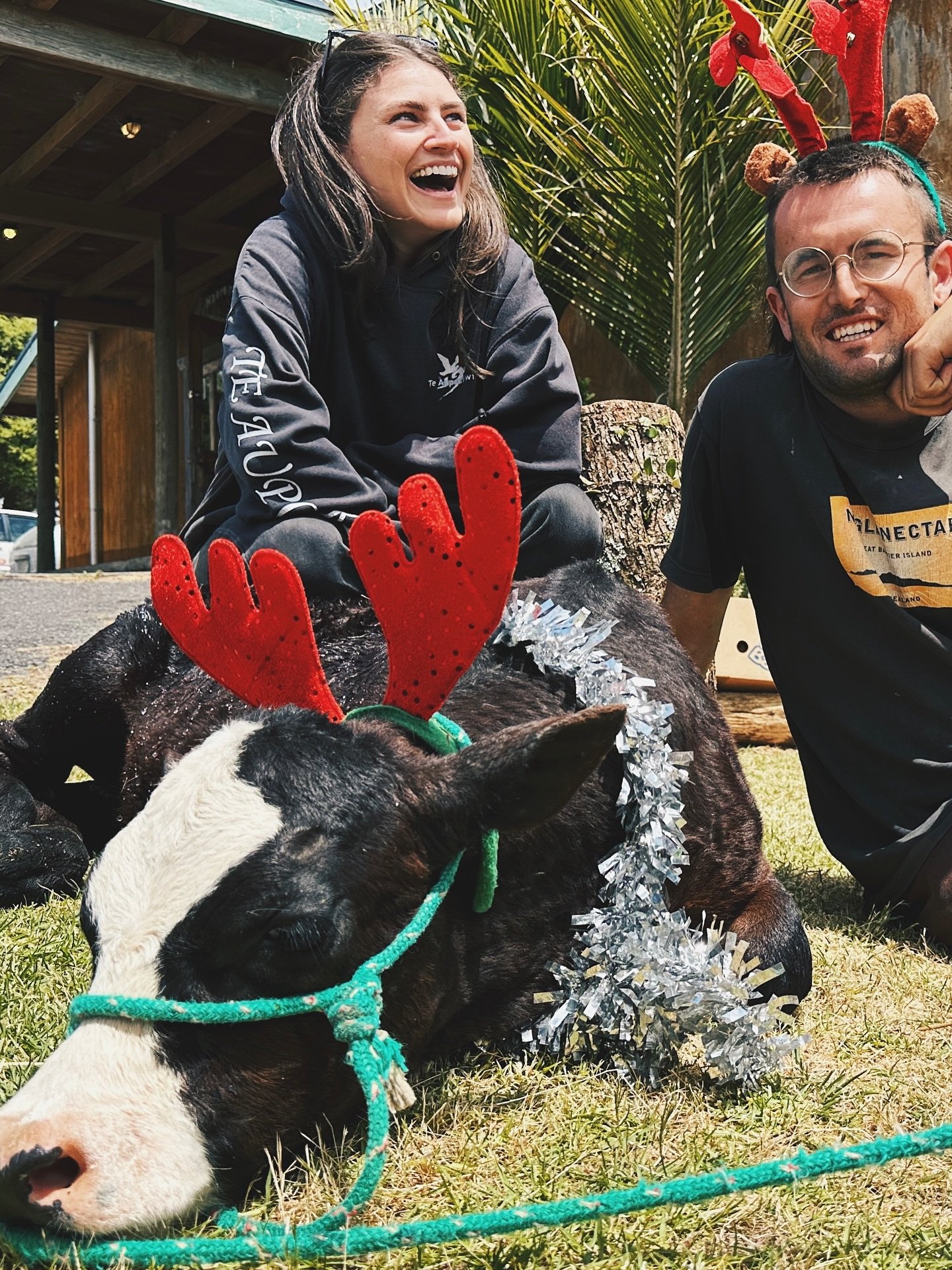 Carousel post from chloe.swarbrick.