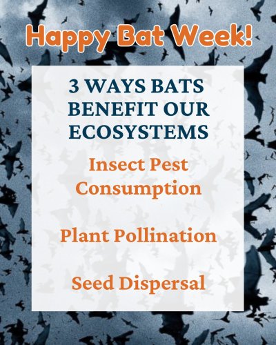 Photo post from indiancreeknaturecenter.