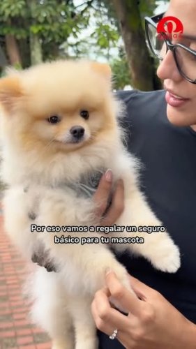Video post from omegasegurosco.