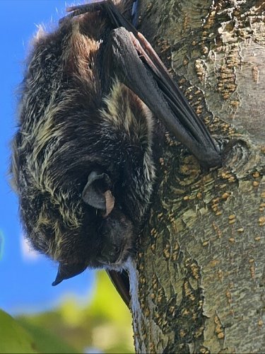 Carousel post from wisco_nature_gal.