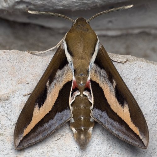 Photo post from kareninnature.