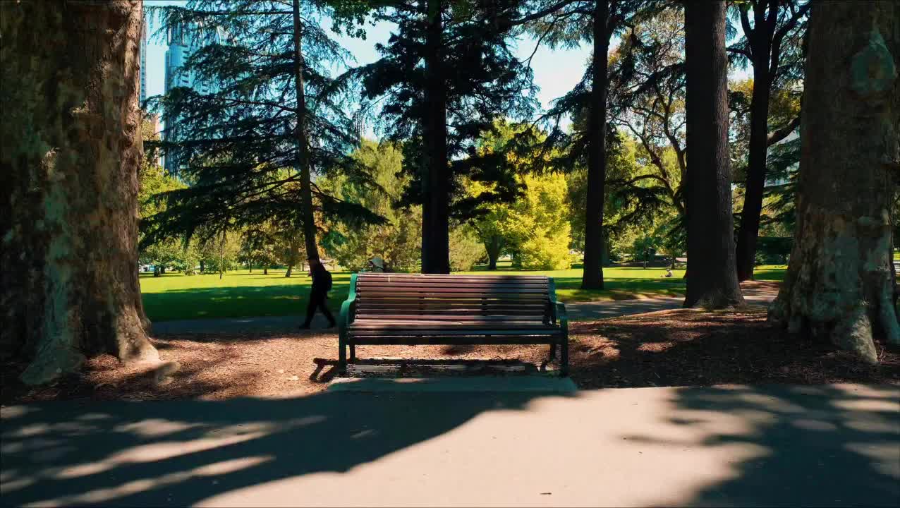 Video post from monashcoding.