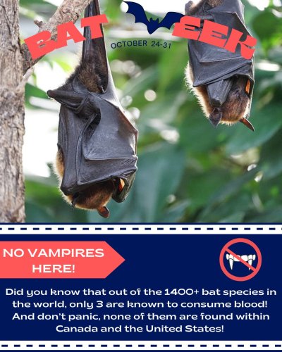 Photo post from centralalgomalandtrust.