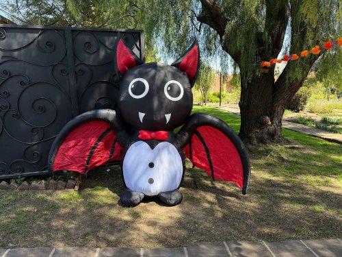 Carousel post from ravanambiental.