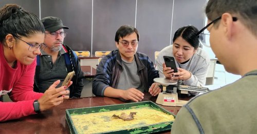 Carousel post from murci_uami.