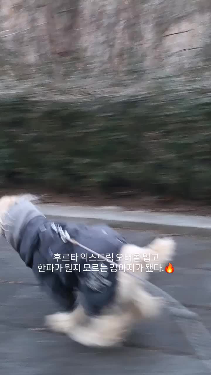 Video post from bon_bon_718.