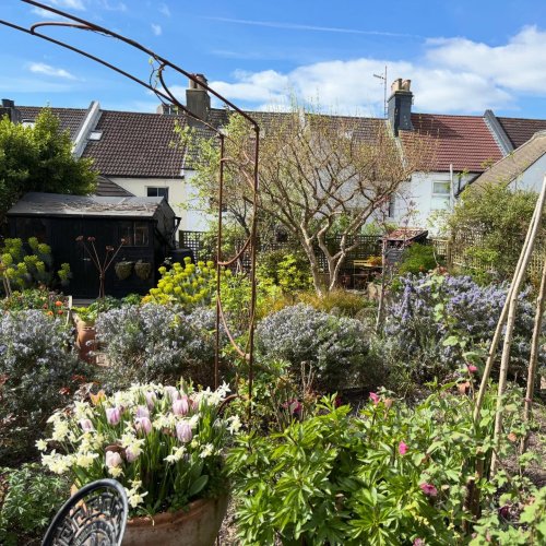 Photo post from gardenhousebrighton.