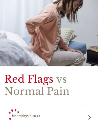 Carousel post from bloem_physio.