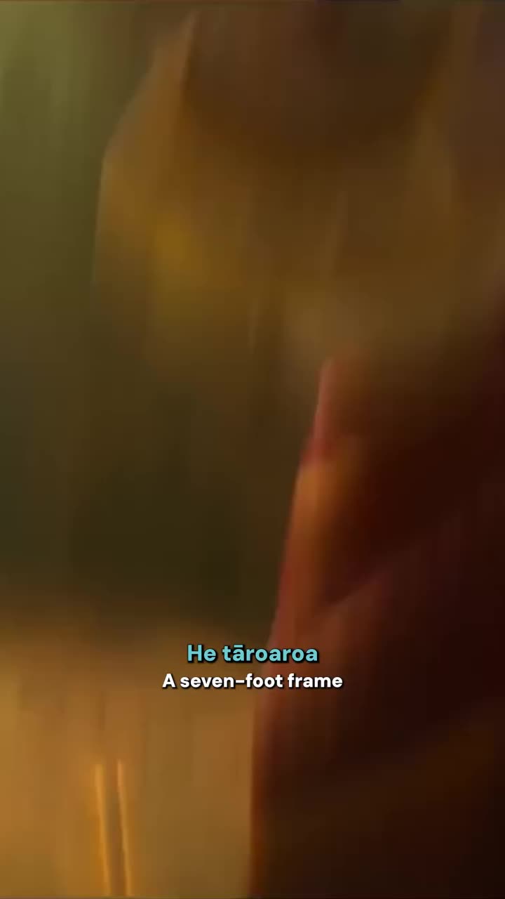 Video post from reomaori.