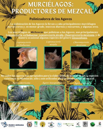 Photo post from grobios_ac.