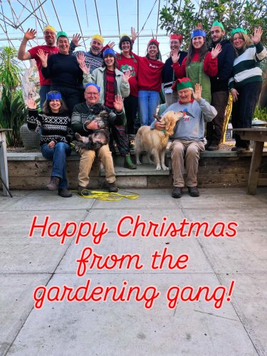 Photo post from potager_garden.