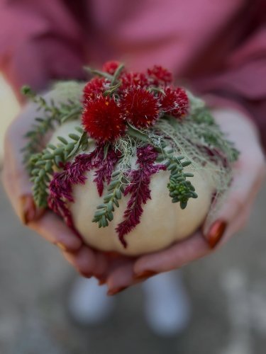 Photo post from equianocoffee.